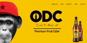 ODC Born to Stand Out image